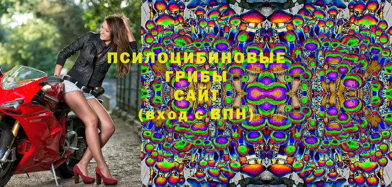 Псилоцибиновые грибы мухоморы  наркотики  кракен как войти  Ишим 